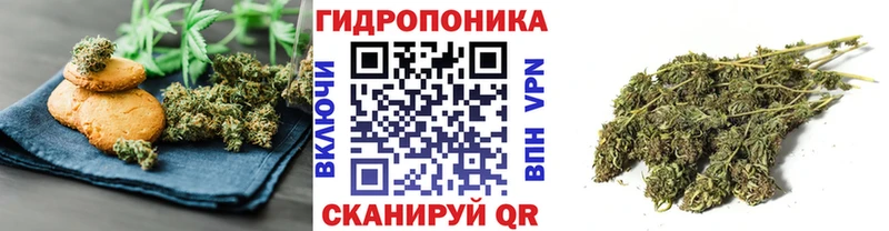 Печенье с ТГК марихуана Купить закладки Карабулак