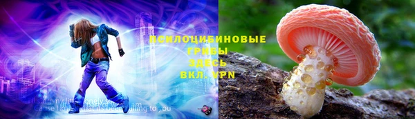 прущая мука Коряжма