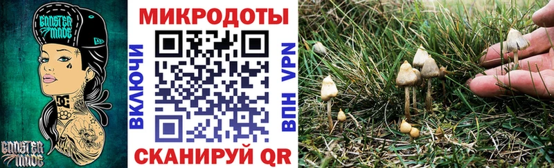 Купить  Карабулак  Галлюциногенные грибы мухоморы 