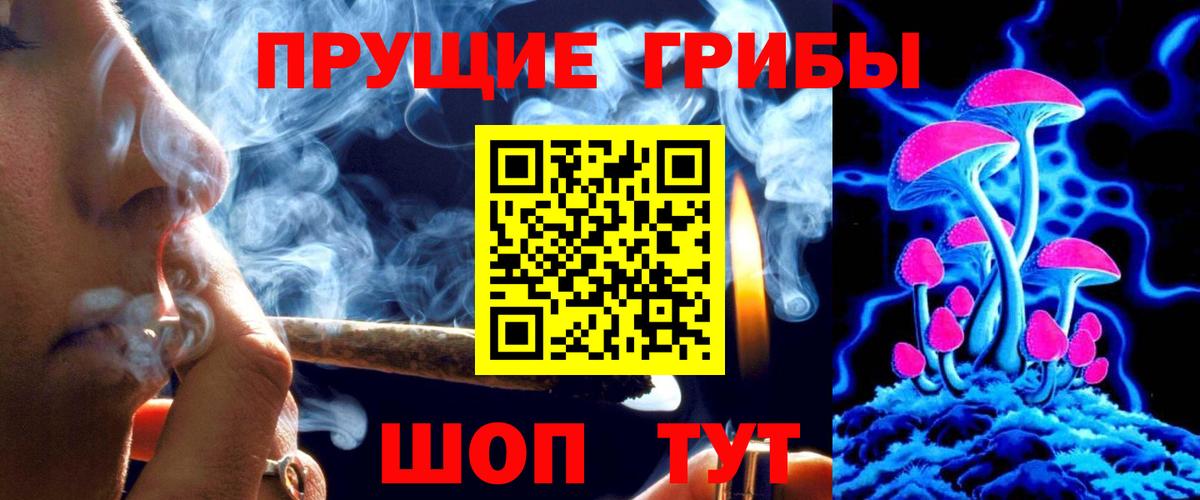 Карабулак  Псилоцибиновые грибы Psilocybine cubensis  Вход с VPN 