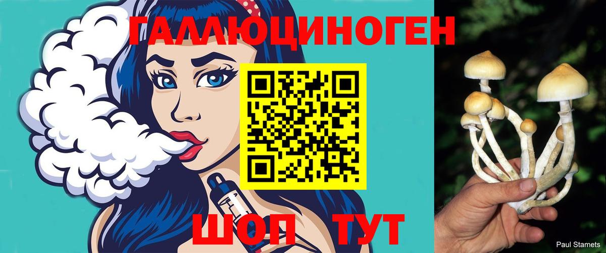 Псилоцибиновые грибы прущие грибы Карабулак