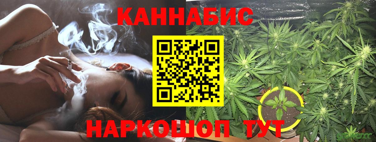 Шишки марихуана планчик Карабулак